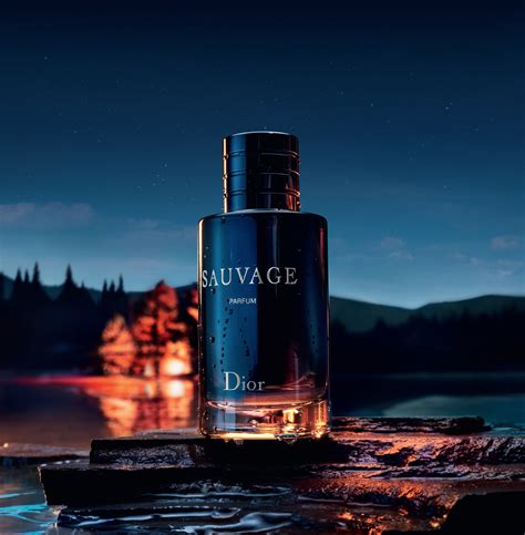 dior sauvage perfume ingredients|dior sauvage edp fragrantica.